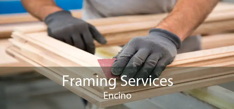 Framing Services Encino